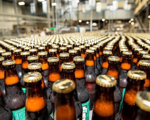 Filled beer bottles on packaging line